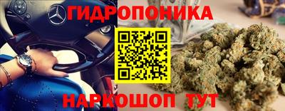 винт Бийск