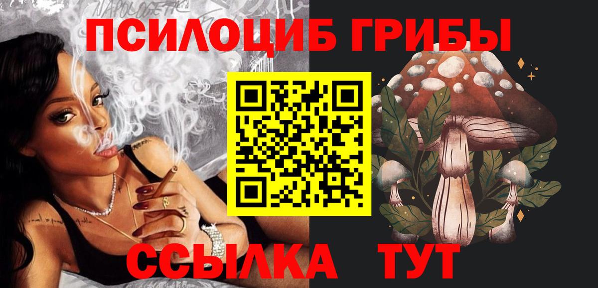 Псилоцибиновые грибы Cubensis  Вход с VPN  Гурьевск  Псилоцибиновые грибы Psilocybe 