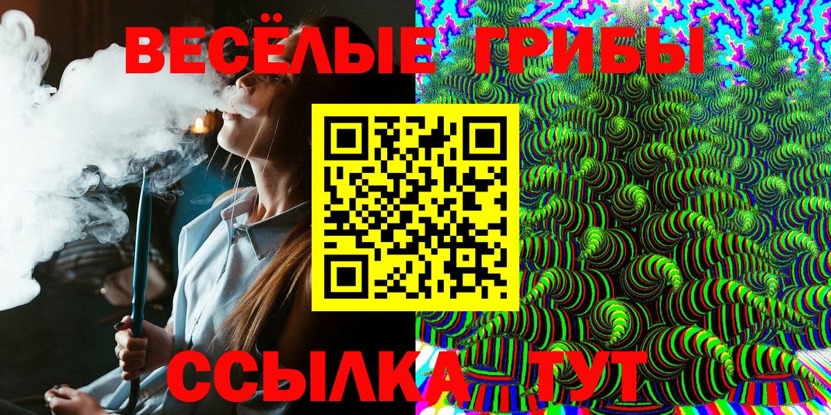 Псилоцибиновые грибы Magic Shrooms Гурьевск